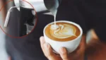 ⁦ماكينة تحضير قهوة إسبريسو 8 في 1 من SAYONA قوة 1850 واط وضغط 20 بار⁩ - الصورة ⁦7⁩